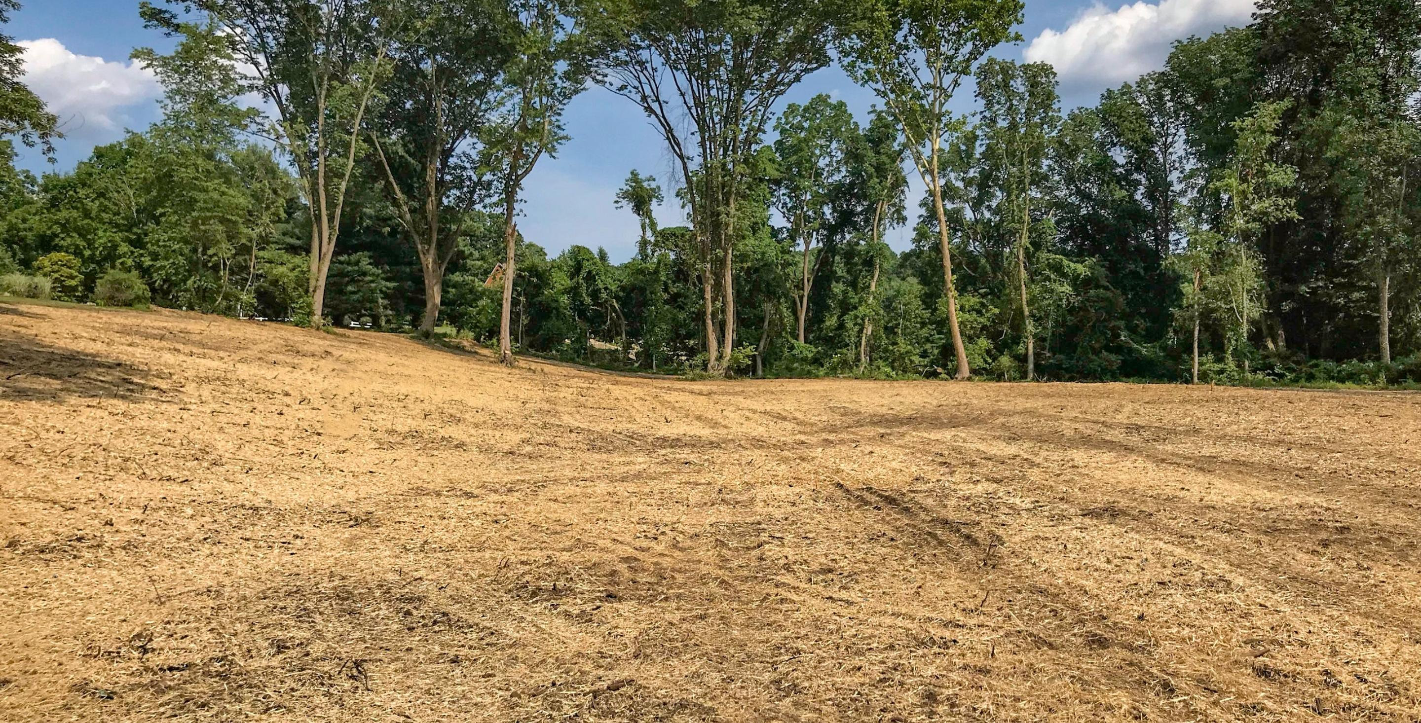 Land & Lot Clearing
